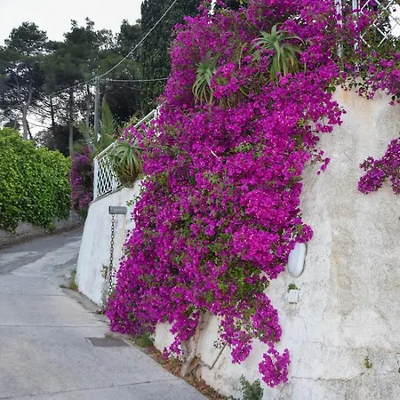 Marina Vip Semesterbostad Marciana (Isola d'Elba)