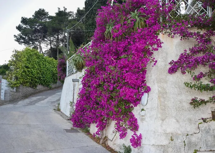 Marina Vip Holiday home Marciana (Isola d'Elba)