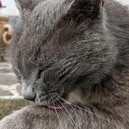 Hébergement de vacances Marina Vip