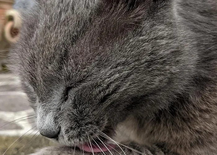 Vakantiehuis Marina Vip